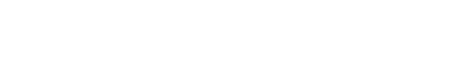 codesecure logo-white